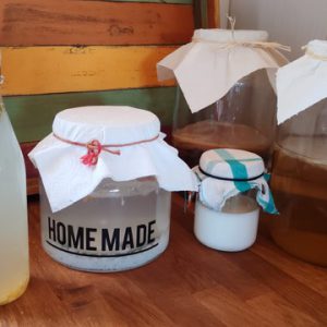 9 kefir -kobucha etc selbstgemacht (ES:PT:EN) 9 kefir -kobucha etc selbstgemacht (ES:PT:EN)