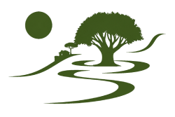 Camino Verde – Aktivitäten & Naturerlebnisse auf La Palma